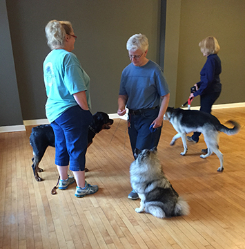 Skill Builder Class